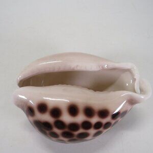Ceramic Sea Shell Dish - Planter Cowrie Shell Brown Spotted